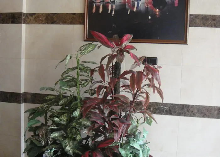 Serpol 2* 팔렌시아